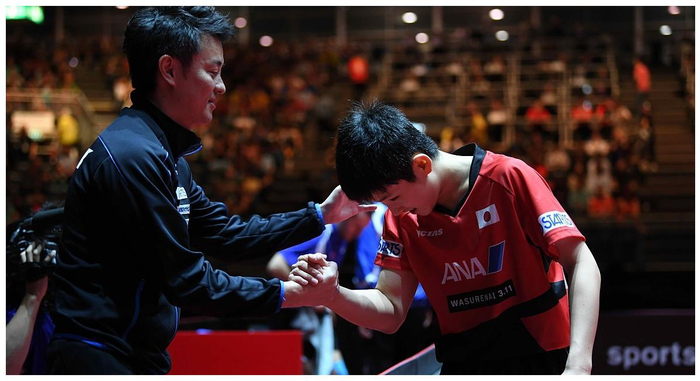 波兰队碾压英格兰队，张本智和统治全场