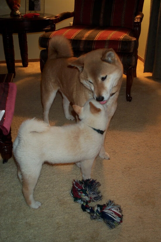 最后一分钟的奇迹，凯恩化身关键先生，摩洛哥戏剧性绝杀几内亚