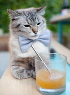 牙买加血拼？不，是牙买加血统在伯纳乌封神！若日尼奥用西甲首场国家德比书写魔幻现实