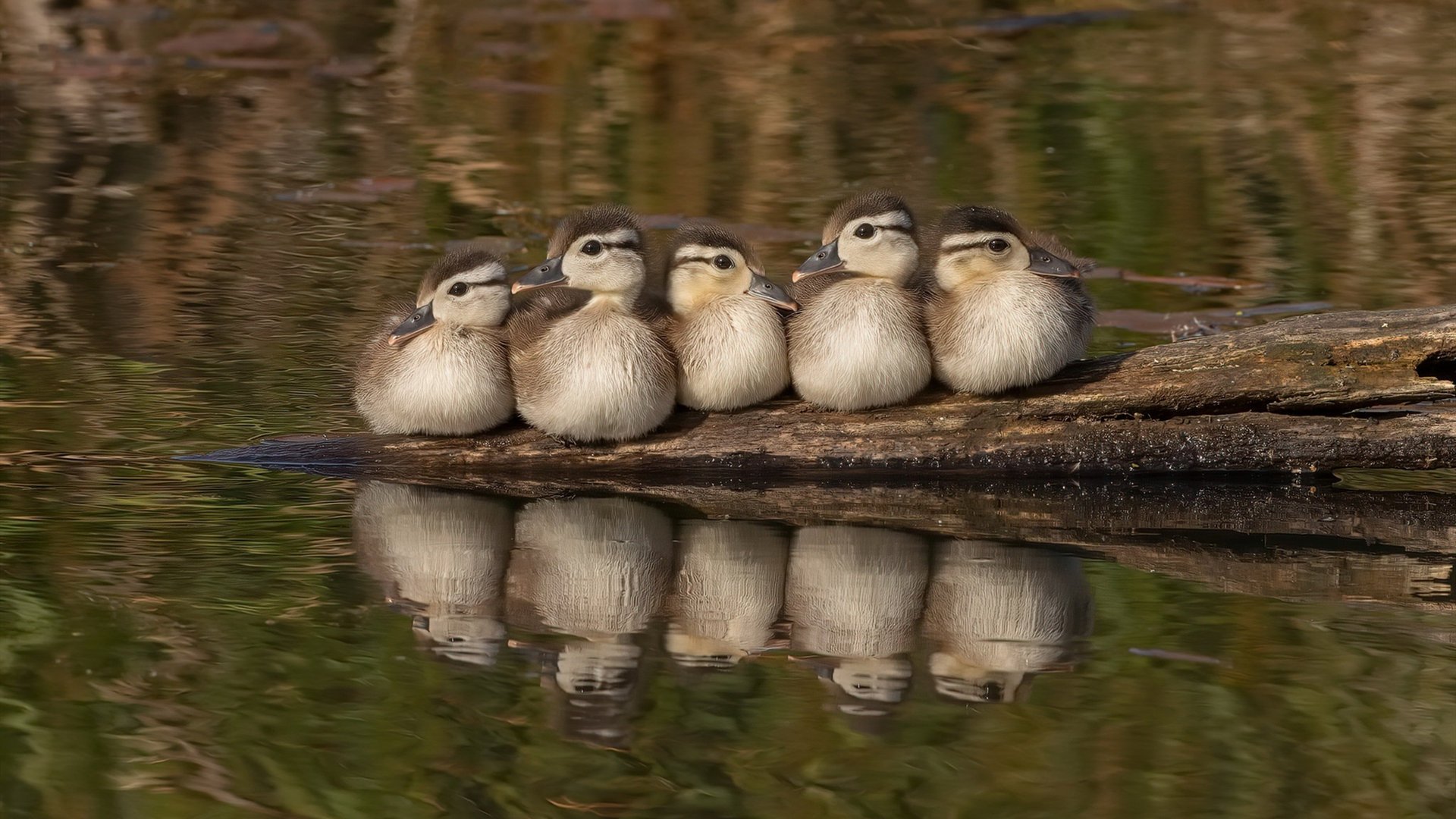 生死战中的英雄，萨内连续得分助塞内加尔击败挪威