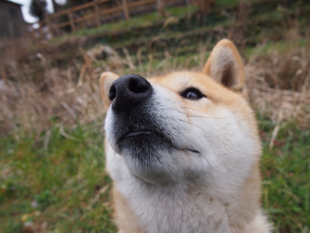 神针定海！奥纳纳补时神扑定乾坤，贝蒂斯战术完胜擒拉齐奥