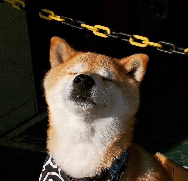 横跨三代人的复仇，摩洛哥用最摩洛哥的方式，将C罗的世界杯绝唱钉在宿命之柱上