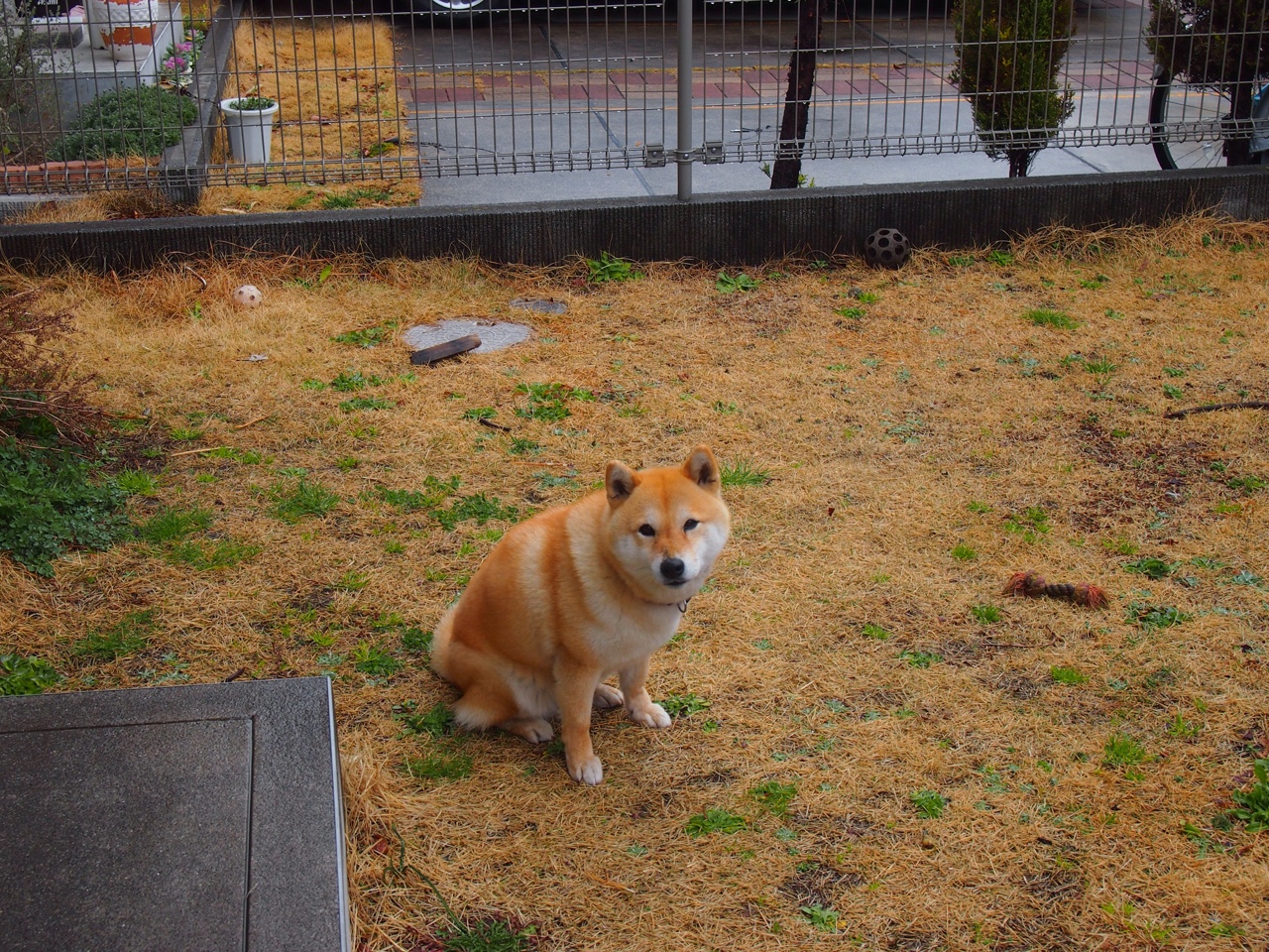 封锁与闪耀，当曼城冻结摩洛哥魔术时，奥亚尔萨瓦尔如何点亮世界排名战火